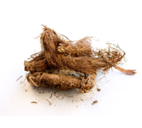 Jatamansi (Nardostachys Jatamansi)